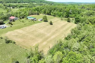 530 Jordans, Shanks, WV 26761 - Photo 5