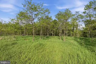 Nathaniel Drive, Romney, WV 26757 - Photo 1