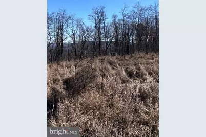 Nathaniel Drive, Romney, WV 26757 - Photo 3