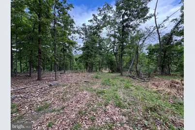 40.15 Ac Middle Ridge Road, Romney, WV 26757 - Photo 37