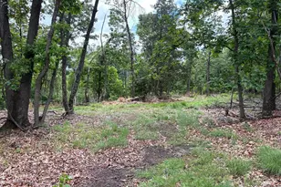 40 15 Ac Middle Ridge Rd, Romney, WV 26757 - Photo 1