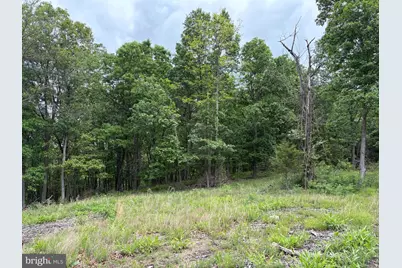 40.15 Ac Middle Ridge Road, Romney, WV 26757 - Photo 19
