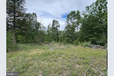 40.15 Ac Middle Ridge Road, Romney, WV 26757 - Photo 5