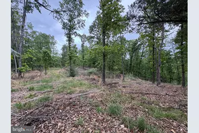 40.15 Ac Middle Ridge Road, Romney, WV 26757 - Photo 23