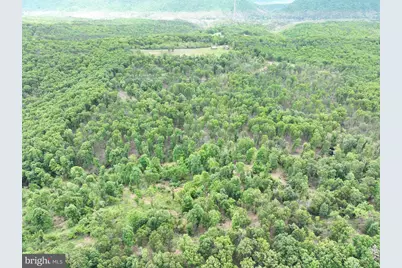 40.15 Ac Middle Ridge Road, Romney, WV 26757 - Photo 41