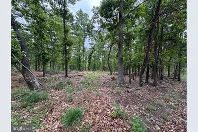 40.15 Ac Middle Ridge Road, Romney, WV 26757 - Photo 27