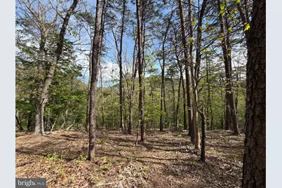 Lot # 16 Sugar Run, Romney, WV 26757 - Photo 15