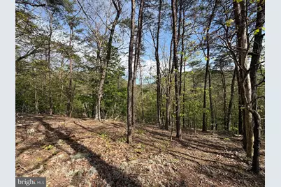 Lot # 16 Sugar Run, Romney, WV 26757 - Photo 13