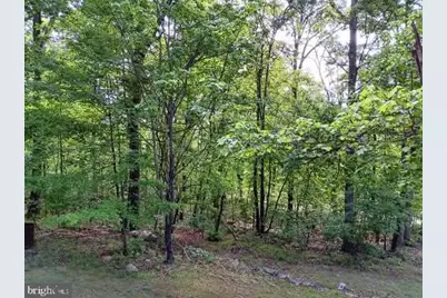 778 Falconwood Road, Paw Paw, WV 25434 - Photo 25