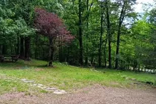 778 Falconwood Rd, Paw Paw, WV 25434 - Photo 21