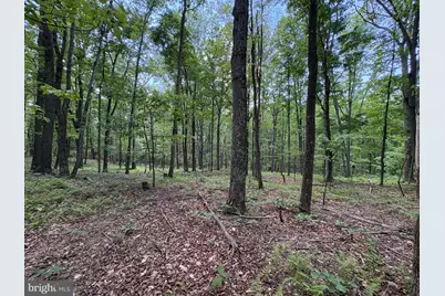 Lot 11 Rock Creek Trail, Augusta, WV 26704 - Photo 5