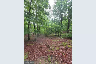 Lot 37 Bobcat Holw, Romney, WV 26757 - Photo 5