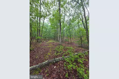 Lot 37 Bobcat Holw, Romney, WV 26757 - Photo 11