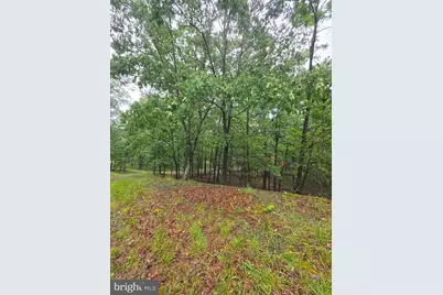 Lot 37 Bobcat Holw, Romney, WV 26757 - Photo 15