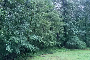 [Address not provided], Points, WV 25437 - Photo 5
