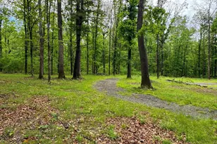 3668 Lake Ferndale Dr, Springfield, WV 26763 - Photo 31