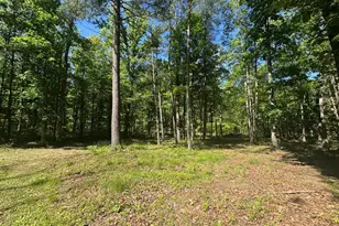 3668 Lake Ferndale Dr, Springfield, WV 26763 - Photo 45
