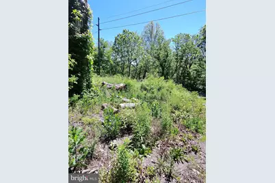 1461 Springfield Pike, Springfield, WV 26763 - Photo 13