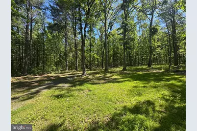 3668 Lake Ferndale Drive, Springfield, WV 26763 - Photo 35