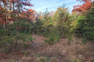 Lot 26 Park Rd, Paw Paw, WV 25434 - Photo 1