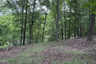 Lot 24 Cornwell Dr, Romney, WV 26757 - Photo 1