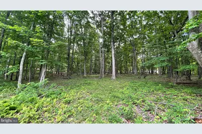 Lot 61 Bristol Springs Way, Slanesville, WV 25444 - Photo 5
