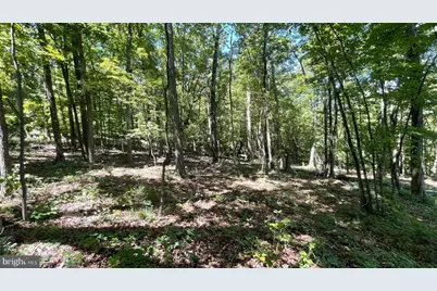 Lot 61 Bristol Springs Way, Slanesville, WV 25444 - Photo 7