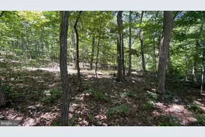 Lot 61 Bristol Springs Way, Slanesville, WV 25444 - Photo 11