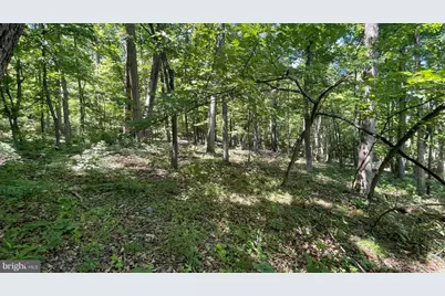 Lot 61 Bristol Springs Way, Slanesville, WV 25444 - Photo 9