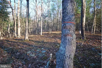 Lot 67 Mill Mountain Road, Romney, WV 26757 - Photo 35