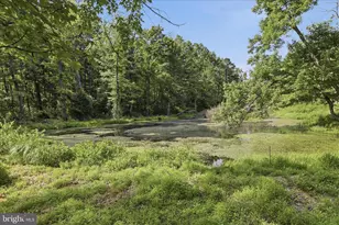 633 Halterman Dr, Capon Bridge, WV 26711 - Photo 41