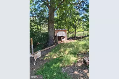 2334 Ash Ruckman Road, Augusta, WV 26704 - Photo 19