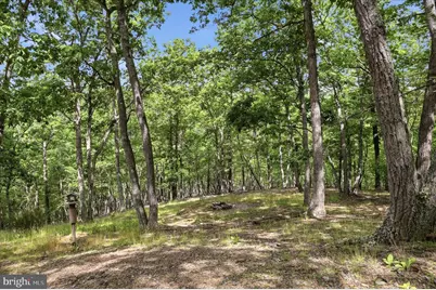 2858 Crossings View Road, Paw Paw, WV 25434 - Photo 49
