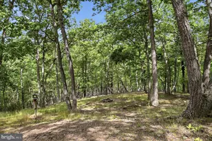 2858 Crossings View Rd, Paw Paw, WV 25434 - Photo 49