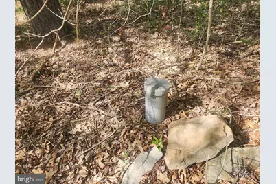 Lot 3B Critton Owl Hollow Road, Paw Paw, WV 25434 - Photo 33