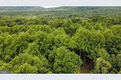 Lot 3B Critton Owl Hollow Road, Paw Paw, WV 25434 - Photo 13
