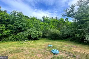 272 Red-Tailed Hawk Rd, Paw Paw, WV 25434 - Photo 43
