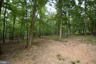 586 Cardinal View Rd, Paw Paw, WV 25434 - Photo 7