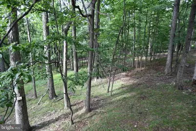 586 Cardinal View Road, Paw Paw, WV 25434 - Photo 23