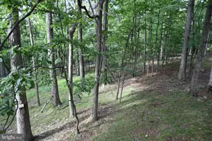 586 Cardinal View Rd, Paw Paw, WV 25434 - Photo 23