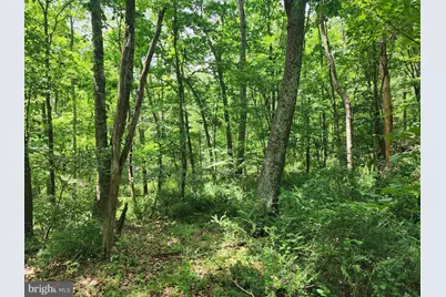 Lot 1 Nathaniel Mountain Heights, Romney, WV 26757 - Photo 1