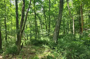 Lot 1 Nathaniel Mountain Heights, Romney, WV 26757 - Photo 1