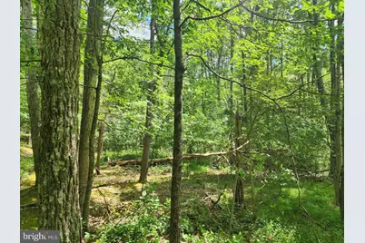 Lot 1 Nathaniel Mountain Heights, Romney, WV 26757 - Photo 3
