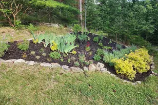 6484 Carpers Pike, Yellow Spring, WV 26865 - Photo 45