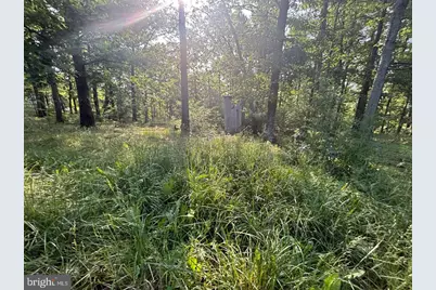 2 Kenwis Drive, Paw Paw, WV 25434 - Photo 17