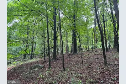 Lot 61 High Mountain View Road, Romney, WV 26757 - Photo 7