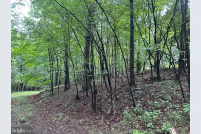 Lot 61 High Mountain View Road, Romney, WV 26757 - Photo 5