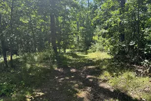 750 Hickory Corner Rd, Augusta, WV 26704 - Photo 33