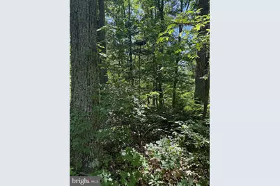 750 Hickory Corner Road, Augusta, WV 26704 - Photo 37