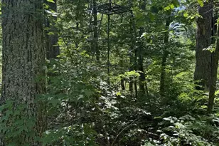 750 Hickory Corner Rd, Augusta, WV 26704 - Photo 37
